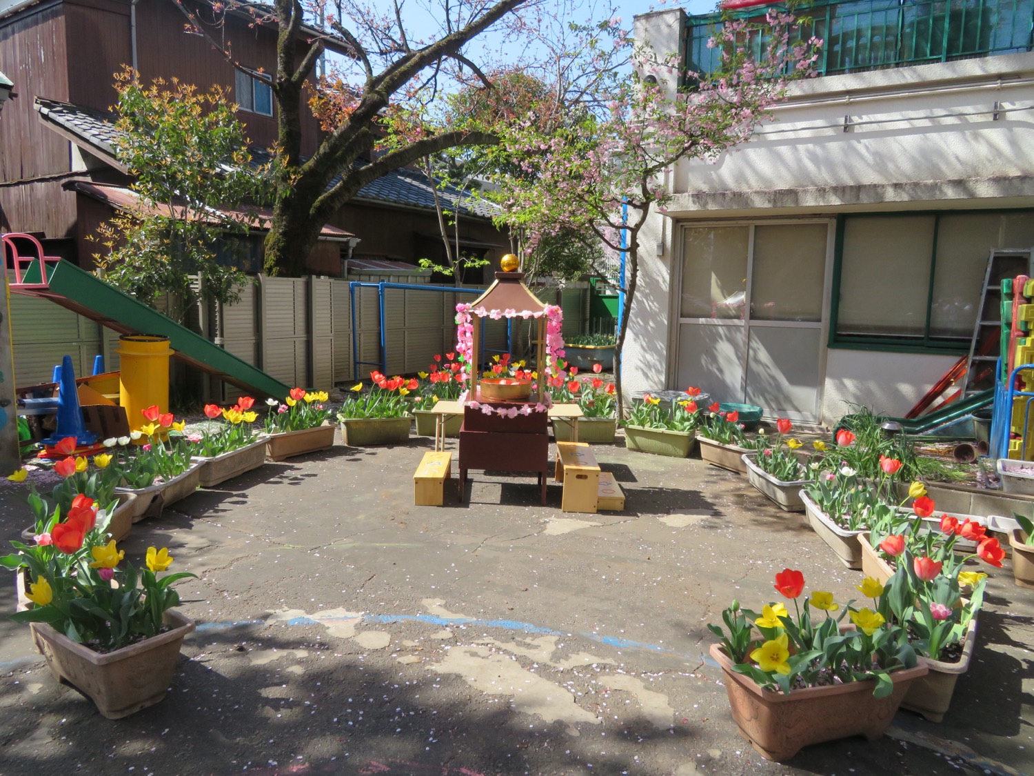園庭の花と遊具
